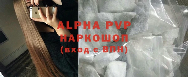 ГАЛЛЮЦИНОГЕННЫЕ ГРИБЫ Кукмор