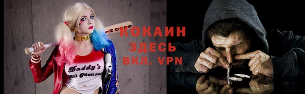 ГАЛЛЮЦИНОГЕННЫЕ ГРИБЫ Кукмор
