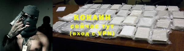 гашик Кулебаки