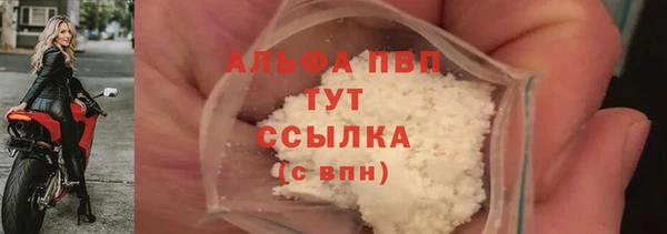 твердый Коряжма