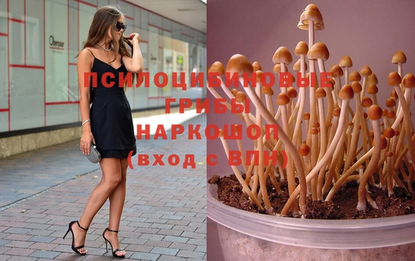 гашик Кулебаки