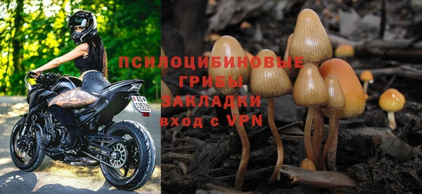 ГАЛЛЮЦИНОГЕННЫЕ ГРИБЫ Кукмор