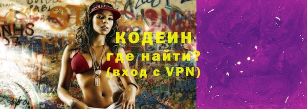 гашик Кулебаки