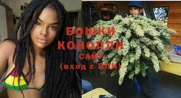 ПСИЛОЦИБИНОВЫЕ ГРИБЫ Корсаков