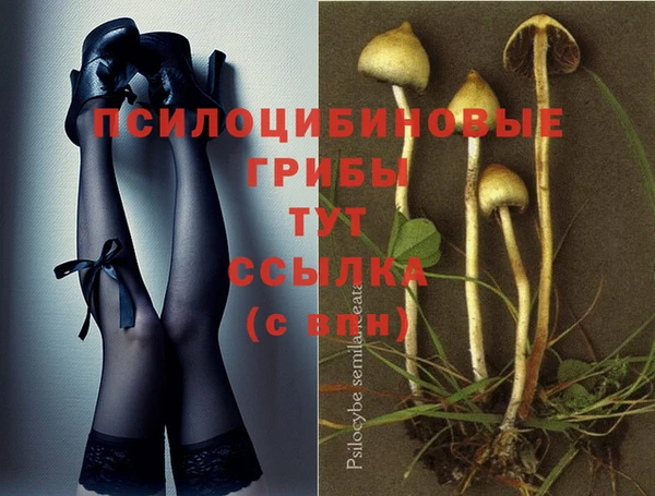 спайс Куйбышев