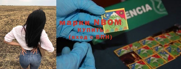 хмурый Белая Калитва